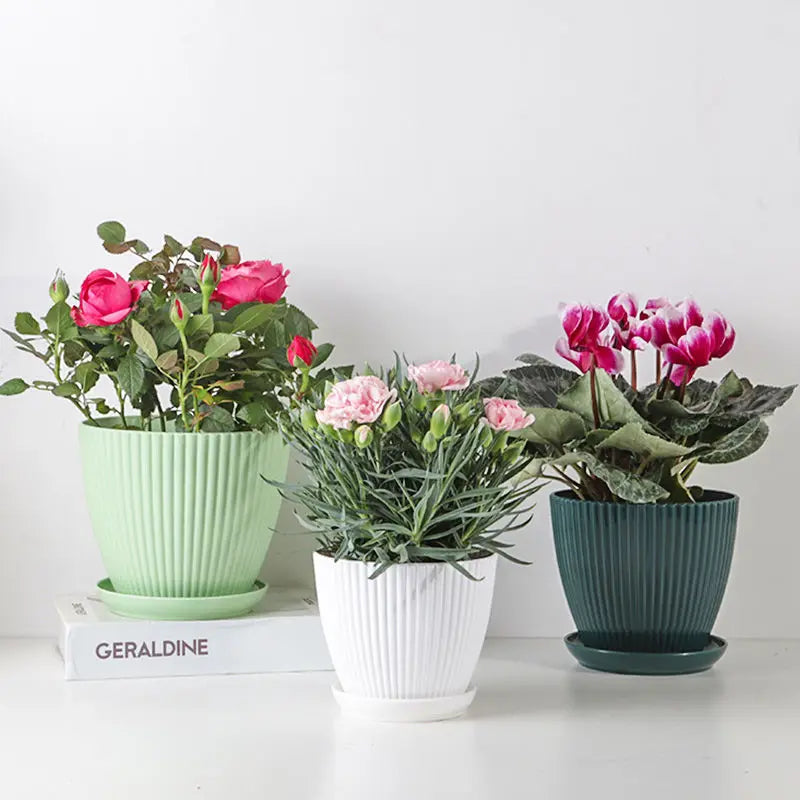 Round Succulent Planter Pots with Tray – Modern Indoor & Outdoor Plant Pots (5 Sizes)