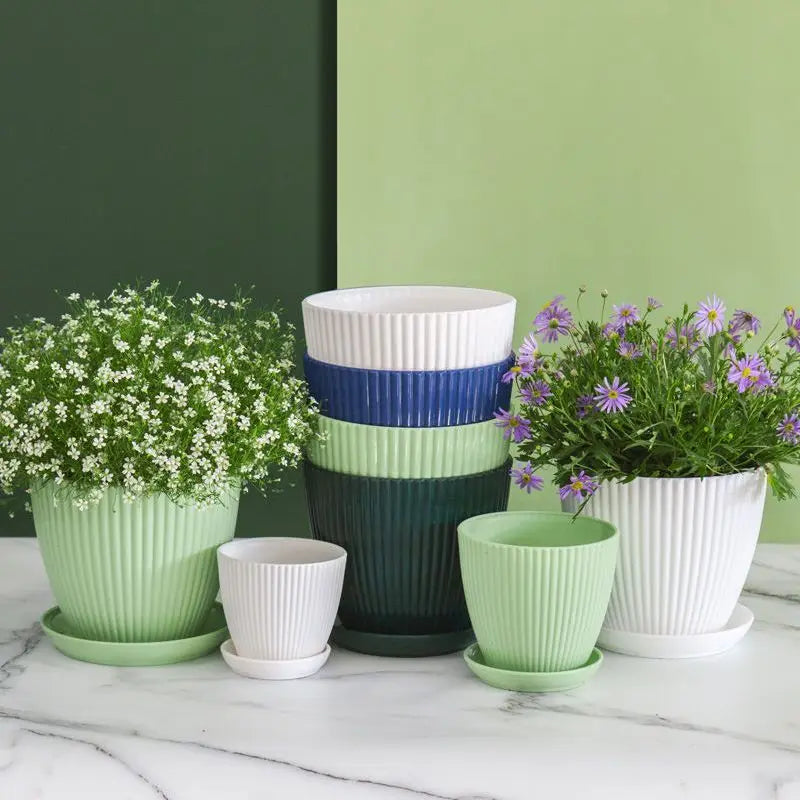 Round Succulent Planter Pots with Tray – Modern Indoor & Outdoor Plant Pots (5 Sizes)