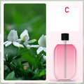Automatic Essential Oil Diffuser – USB Spray Aroma Humidifier with LED Light