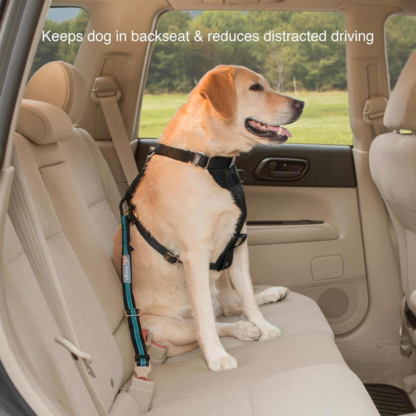 Direct to Seatbelt Tether - Easy-Use Dog Car Harness Clip - Adjustable Ride Strap - Universal Fit for Most Vehicles - All Steel Hardware - Backseat Restraint - Coastal Blue