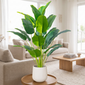 Faux tropical palm plant in a living room